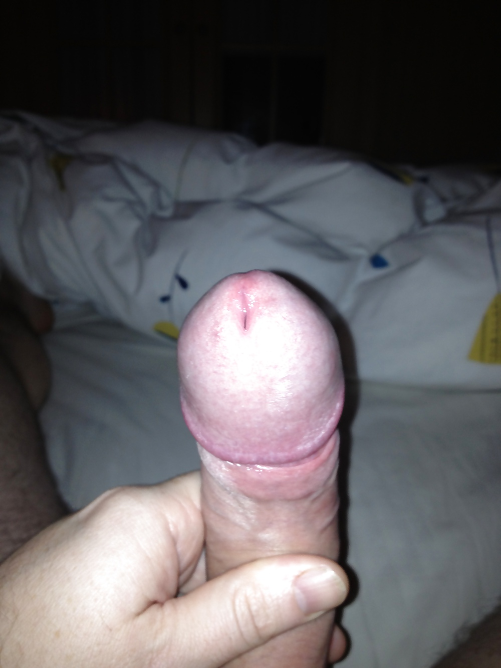 Morning Glory #9412161