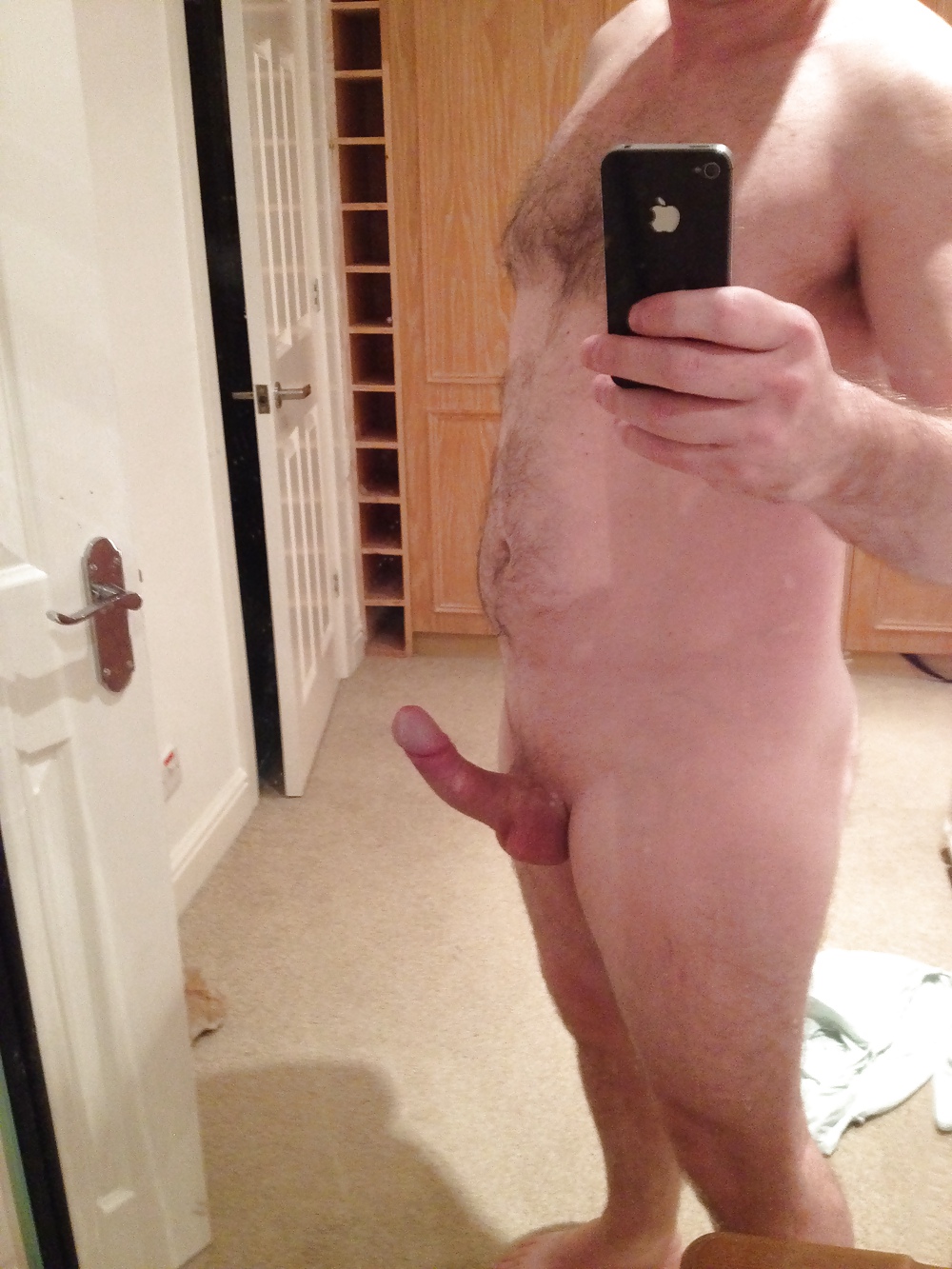 Morning Glory #9412178