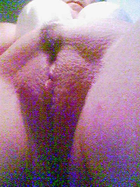 Litle portuguese  #4423662