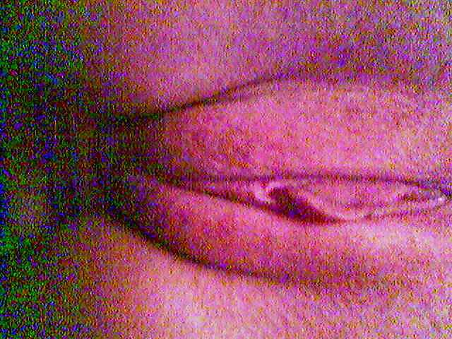 Litle portuguese  #4423665