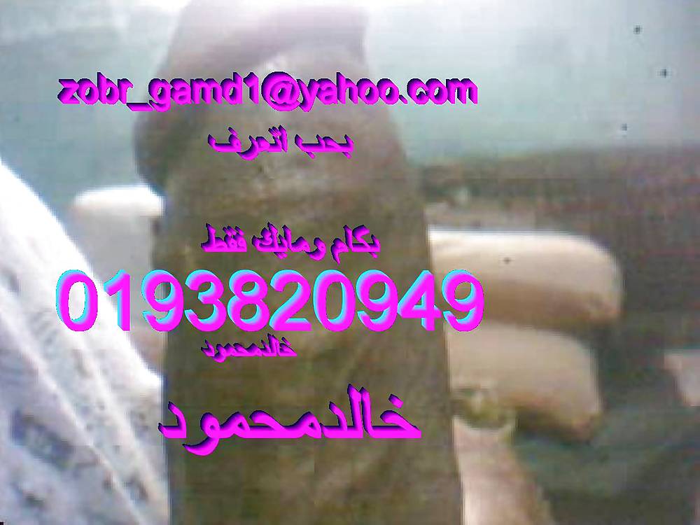 Rey khalid diversión chicas egipto 2012
 #10400289