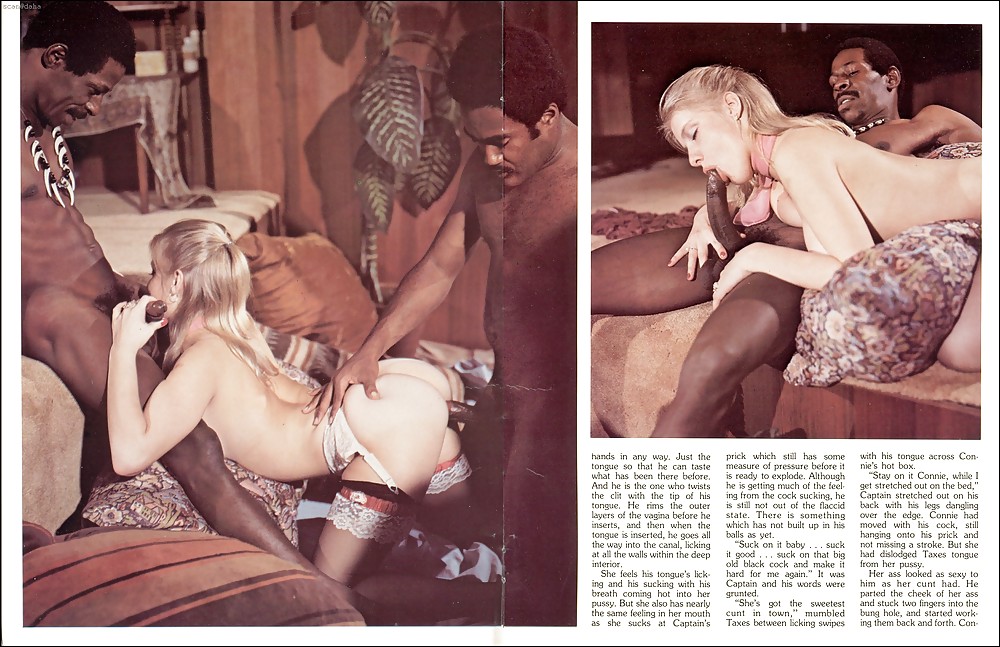 Vintage Magazines Swedish Erotica 11 #2145550