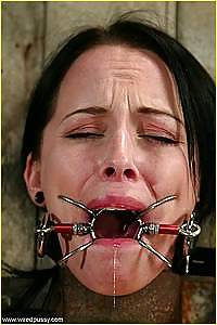 Drooling Gagged Slaves  #2652315