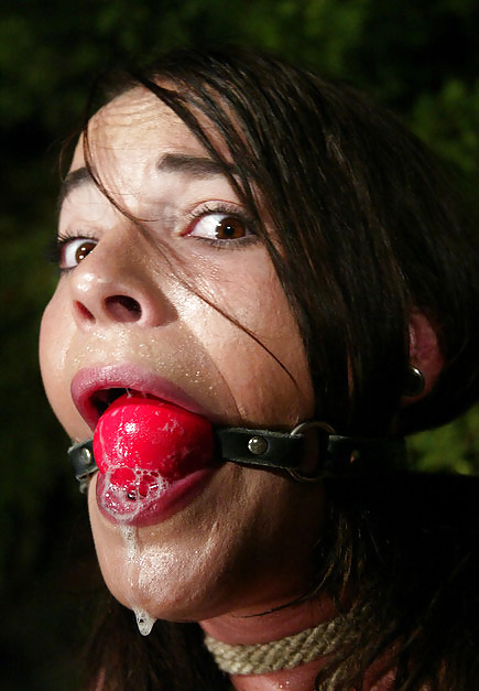 Drooling Gagged Slaves  #2652317
