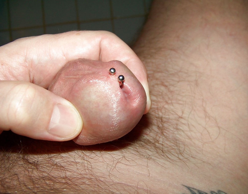 My cock with recent piercing