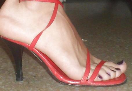 Ladies In Nylon  #10024111