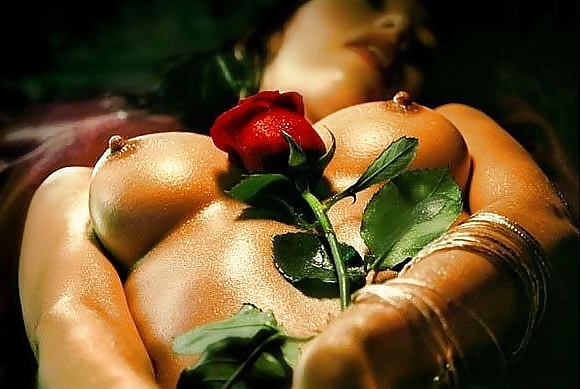 Erotische Kunst Der Rosen - Sitzung 6 #21204926