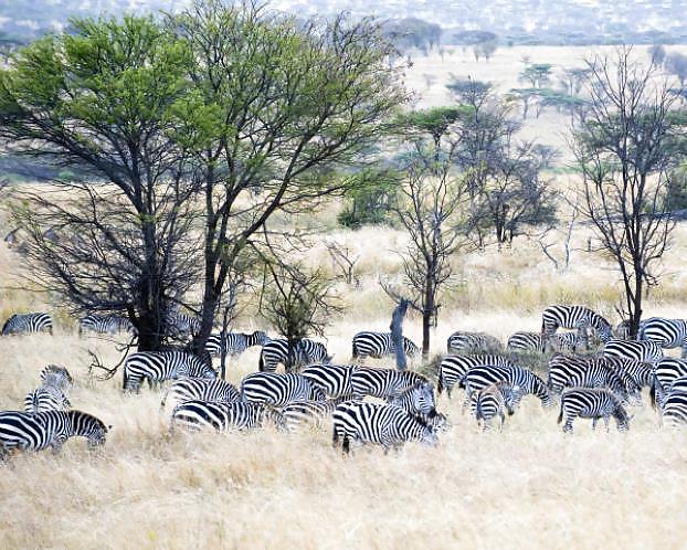 The 20 most beautiful places in the world #21882547