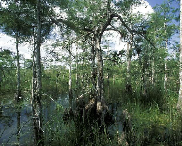 The 20 most beautiful places in the world #21882564