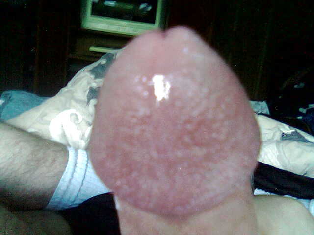 Wil E #3998349