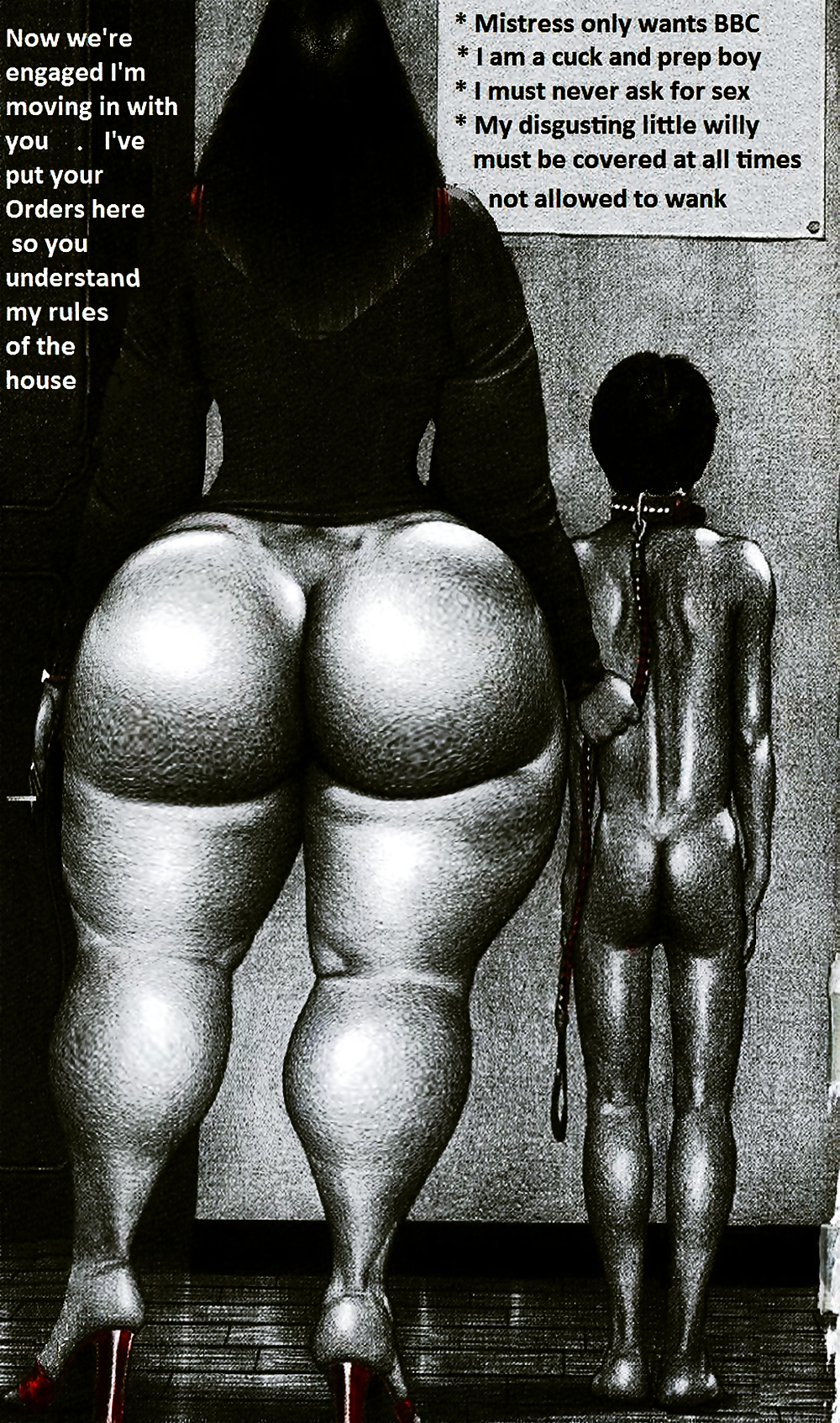 BBW asses in Photoshop. #7833457