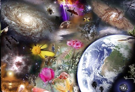 Wonderfull World #11670141
