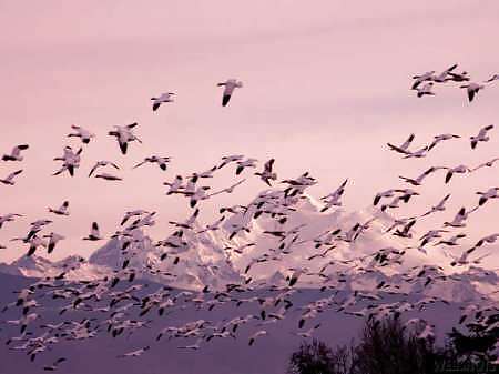 Wonderfull World #11670159