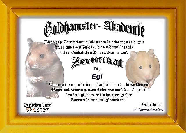 エグイ人専用画像
 #16579139