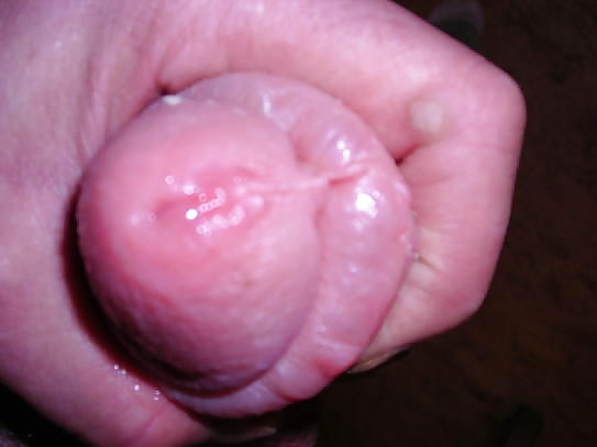 Dicker schwanz
 #15597491