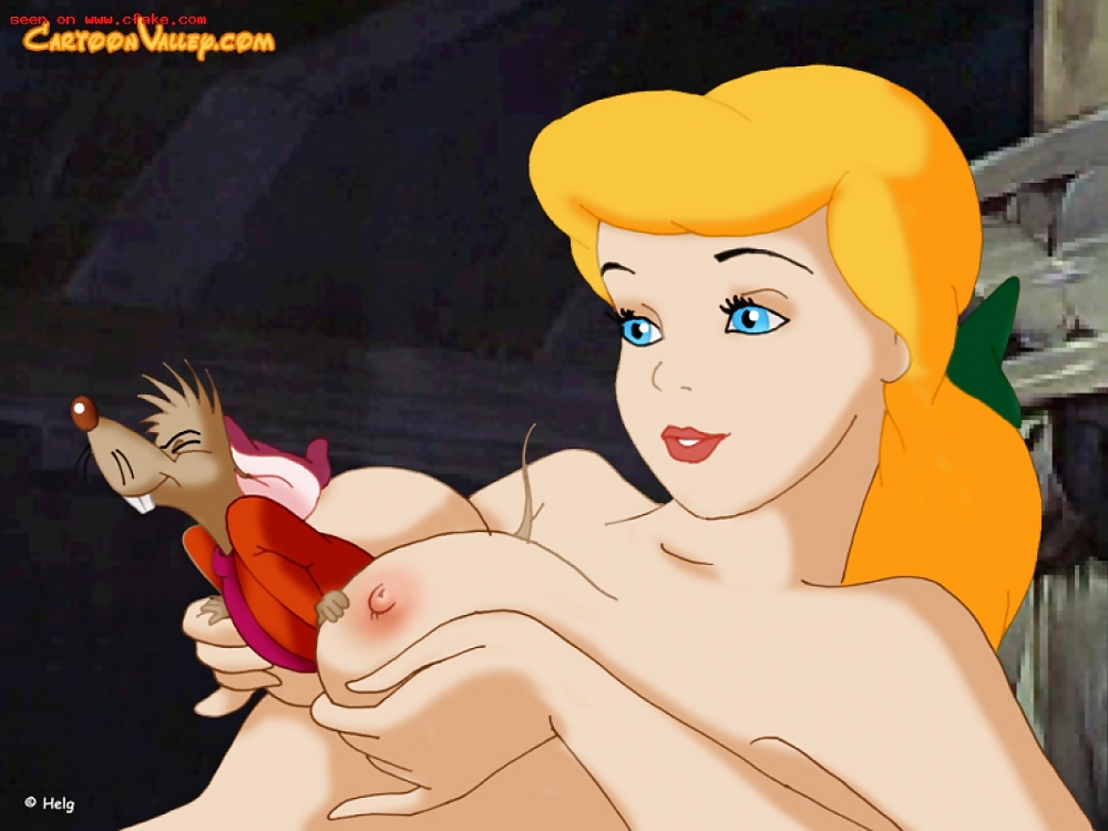 Cinderella #18516257