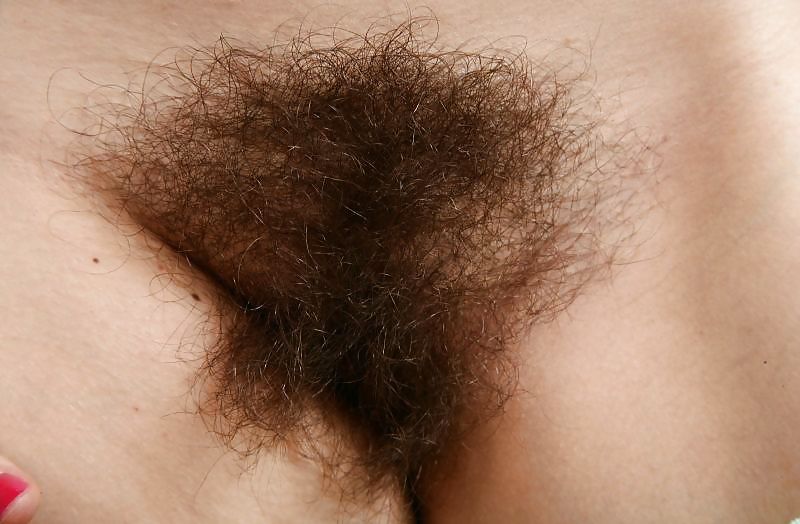 More Hairy Pussy!!! #12012203