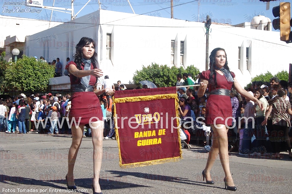 LINDAS ZORRITAS XVI #20051283