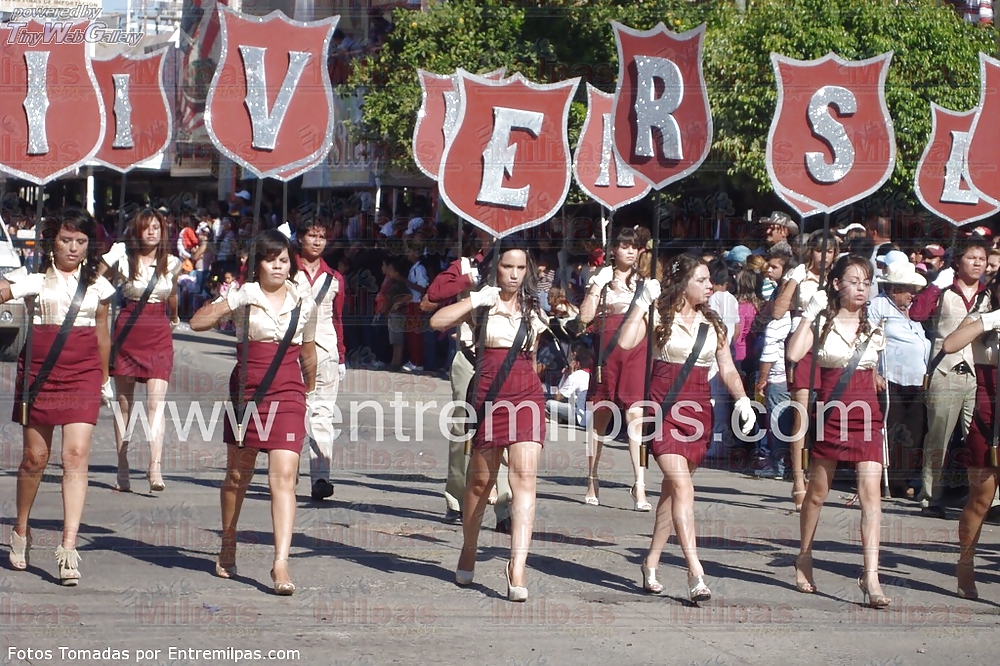 LINDAS ZORRITAS XVI #20051290