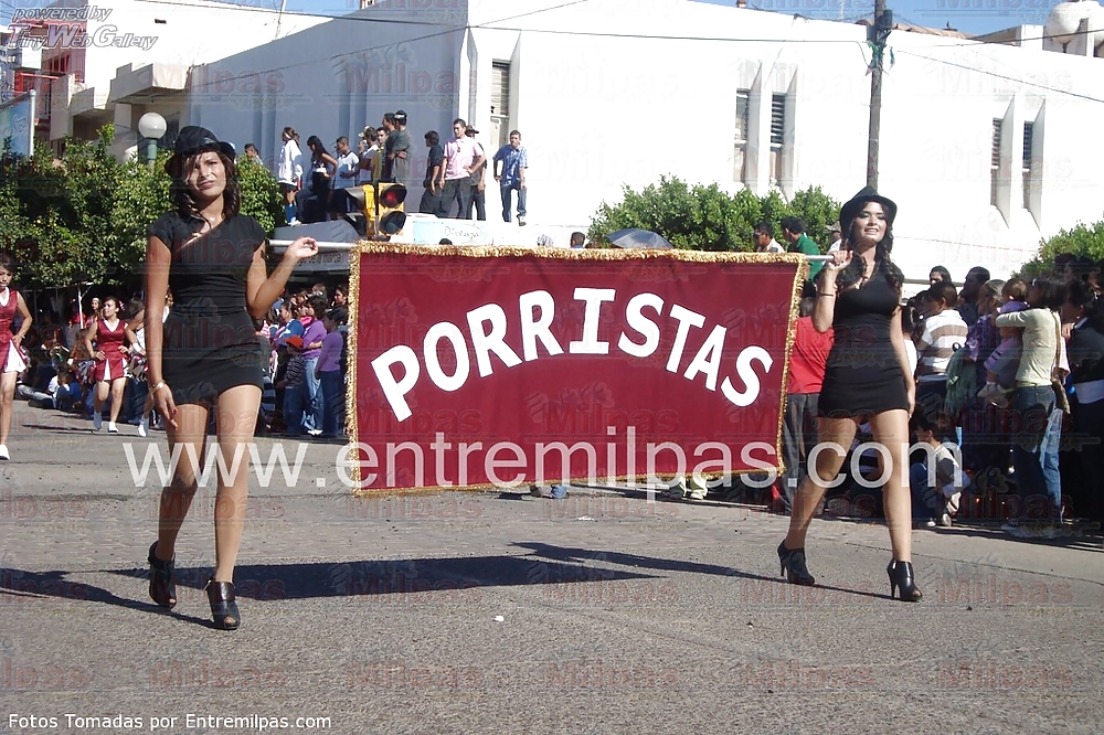 LINDAS ZORRITAS XVI #20051304