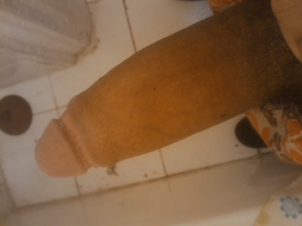 Nasty Frank #3674051