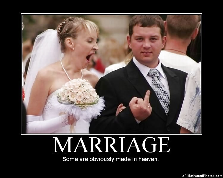 More Funny shit #1133831