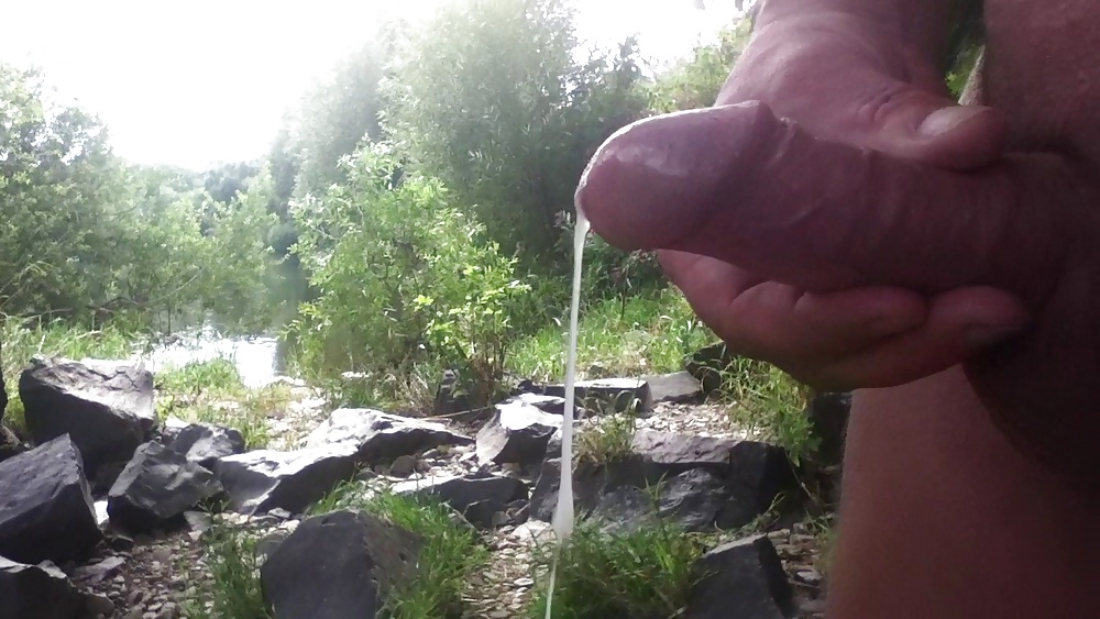 Shnapshots
 #14165265