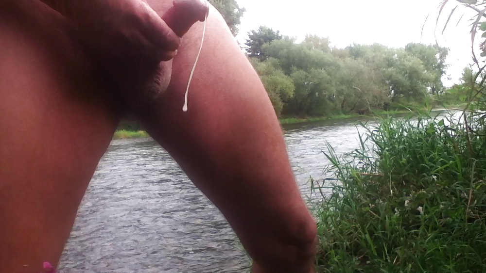 Shnapshots
 #14165297