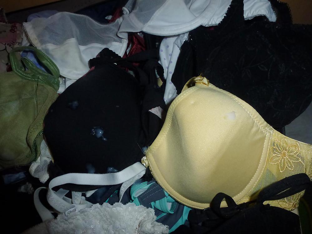 Cum on my Wife's bras #18808843