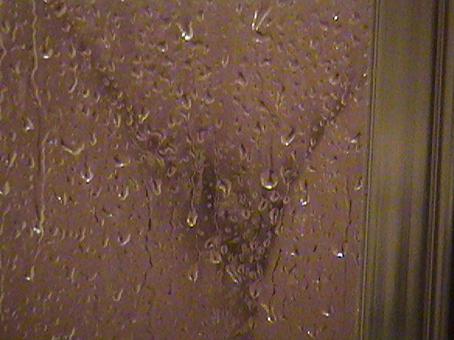 Donna se sincera
 #22790174