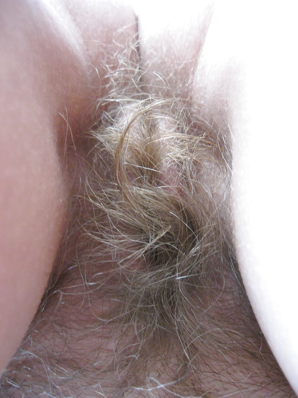 Hairy and blonde #17833539