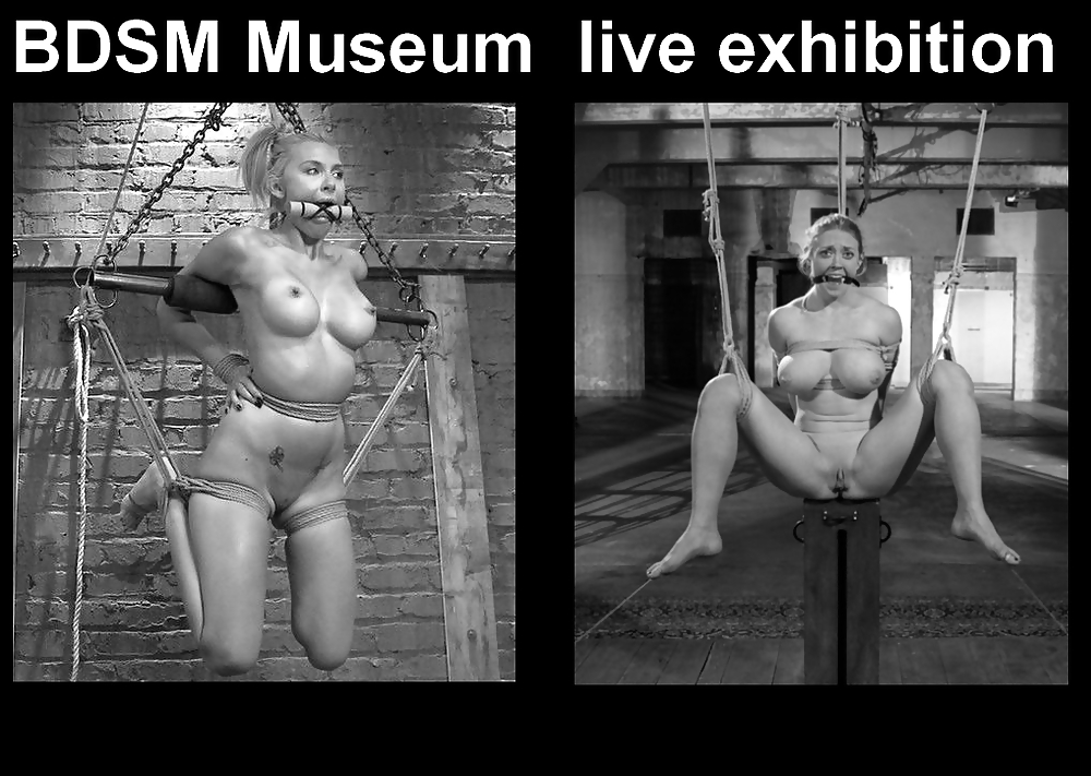 Museo Bdsm exposición en vivo
 #22595231