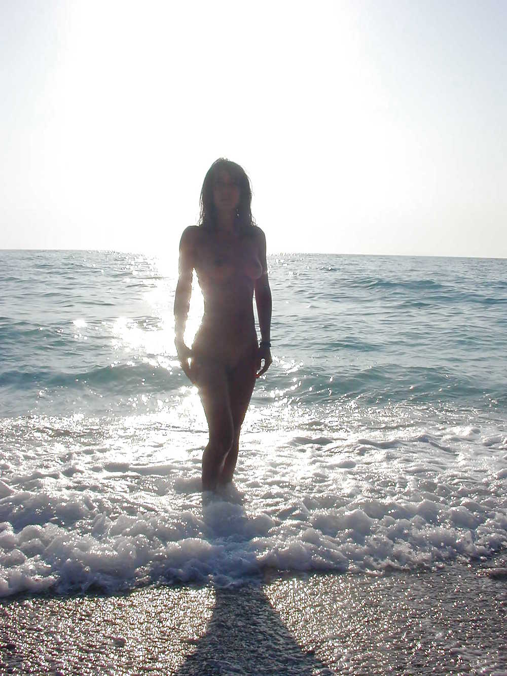 Amateur Honey 481 #4056753