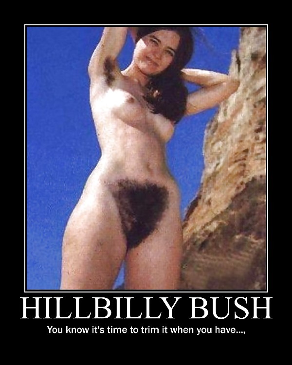 Large Furry Bush #9777797