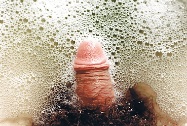 Sushicook's erotic dickel #4444326