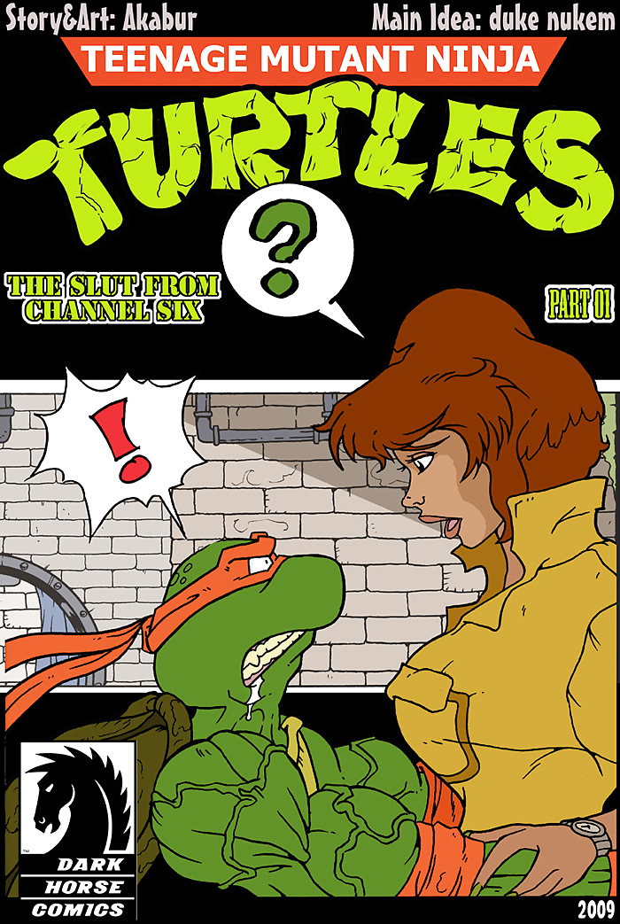 Turtle ninja - part 1 #14285473