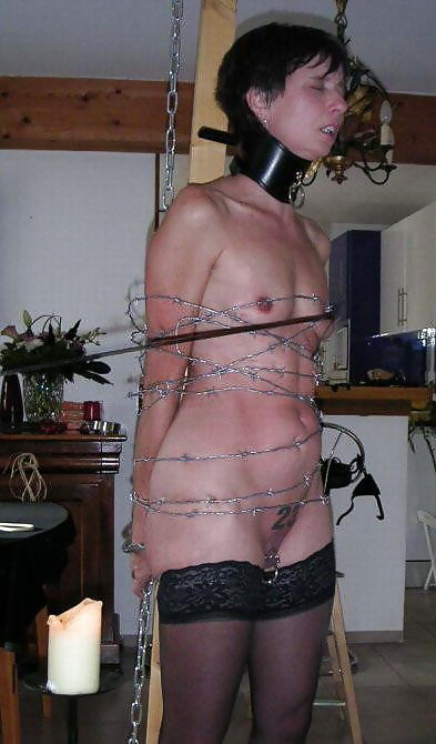 Collared 64! #22063478