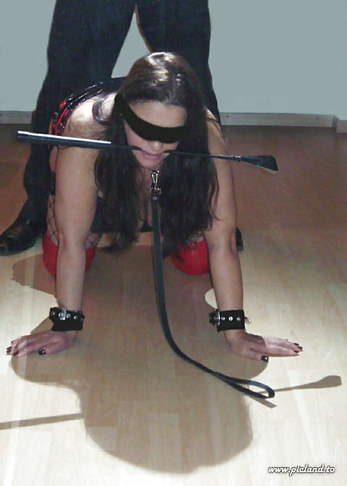 Collared 64! #22063496