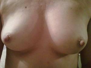 Some Regular Pals #9569176