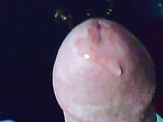 Some more pics... #4239694