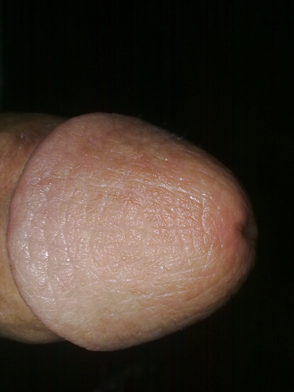 My Dick All Pics. #5535361