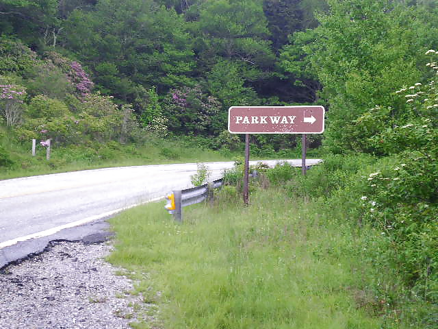 Outdoor fun #4116935