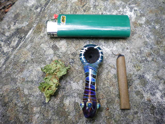 Outdoor fun #4116957