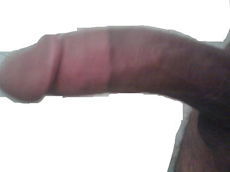 My cock #253547