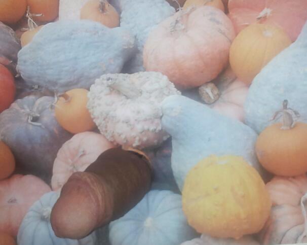 Pumpkin Patch #21184879
