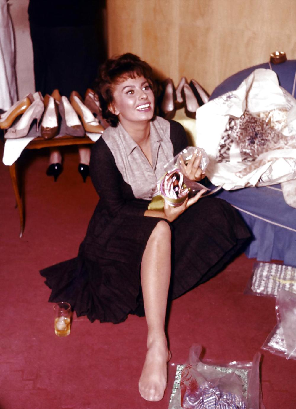 Sophia Loren #13272592