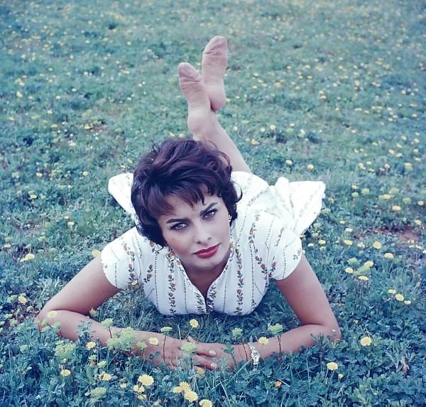 Sophia Loren #13272605