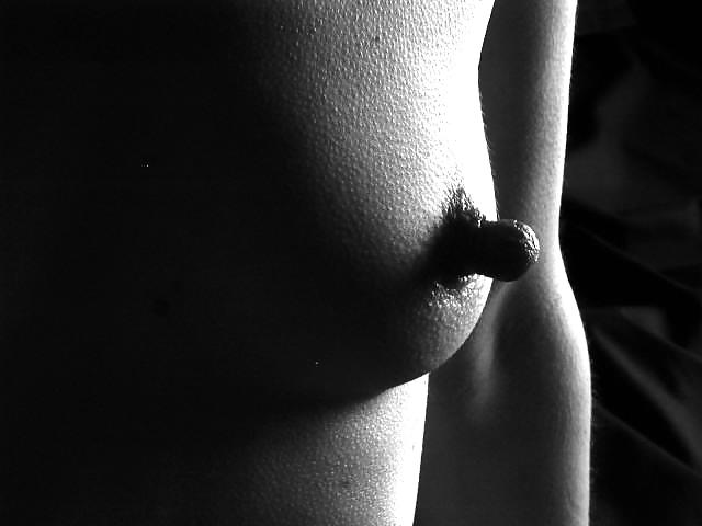 BIG Nippies 2 #7127018