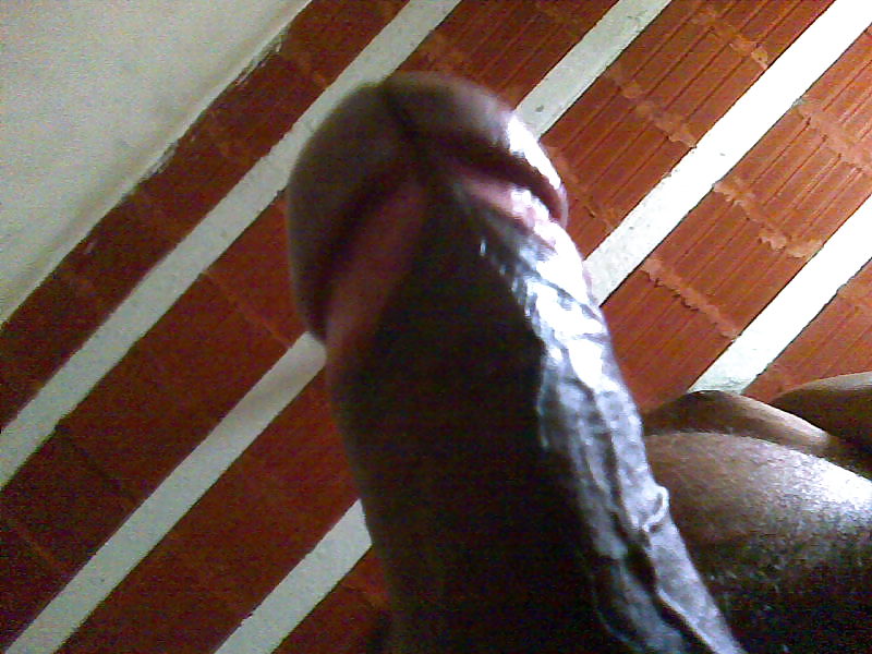 Algumas fotos minhas #9797879