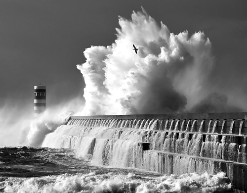 Beauty and art work #9641630